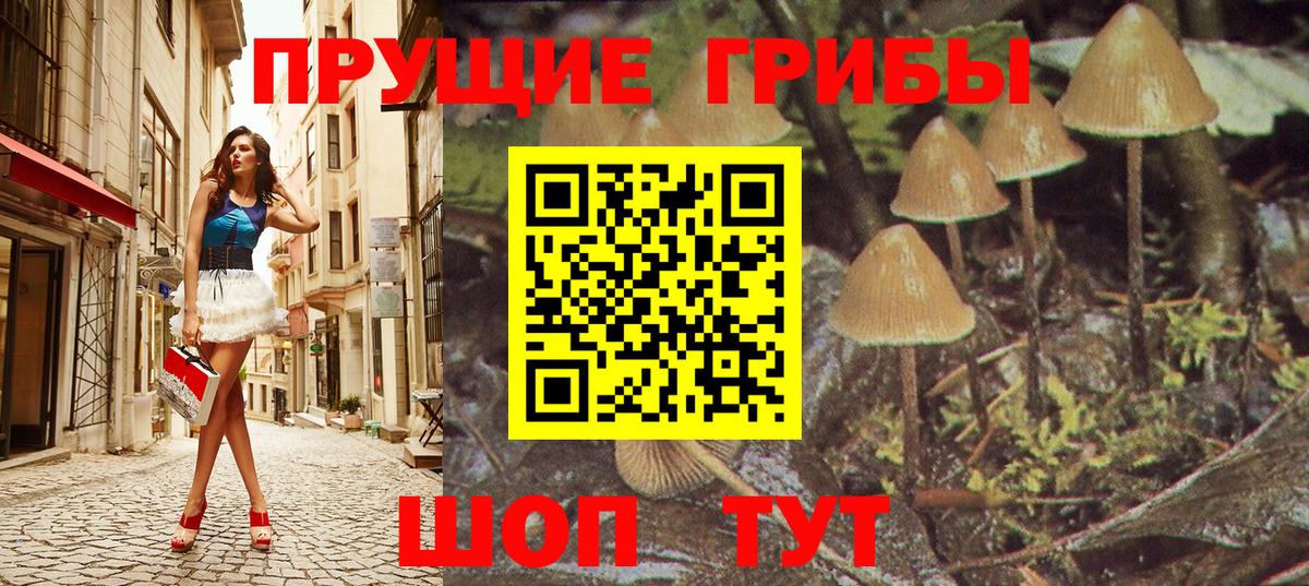 Псилоцибиновые грибы Magic Shrooms Реж